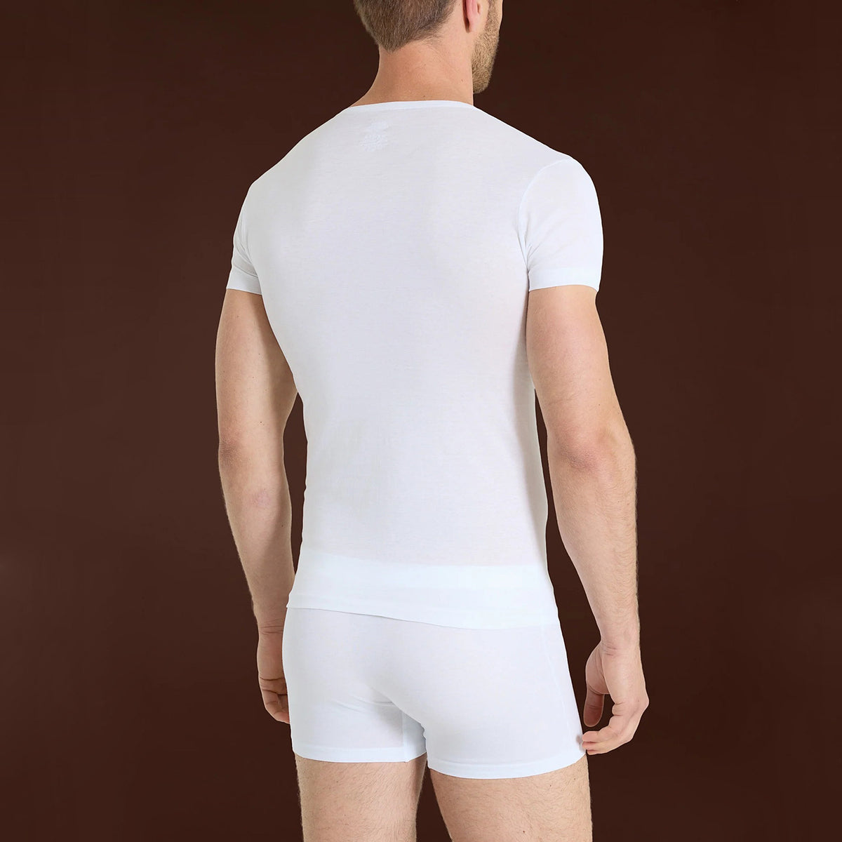 Maglia uomo scollo a v filo di scozia Ragno 601698