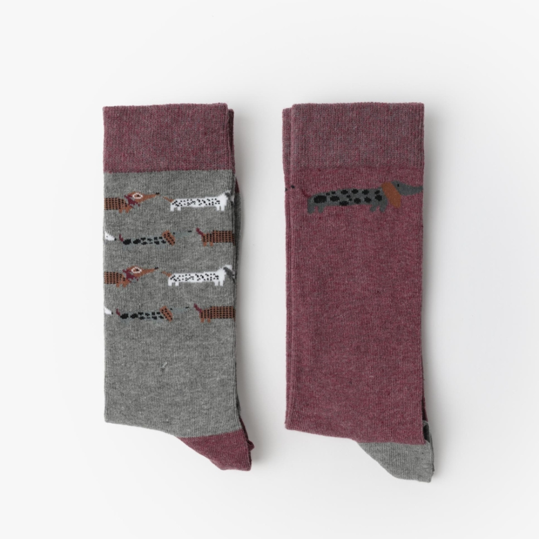 Calze uomo midi con bassotti Admas 21055 2 paia