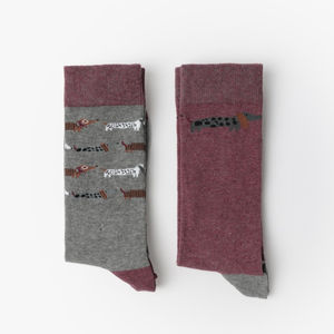 Calze uomo midi con bassotti Admas 21055 2 paia