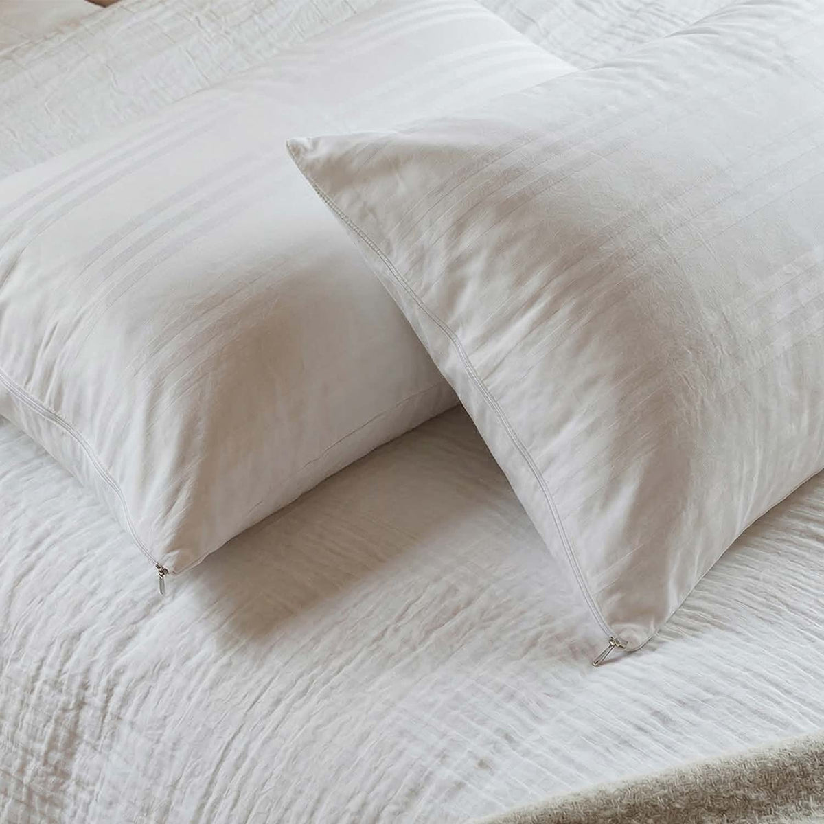 Coppia di federe 100% cotone fasciato antiacaro Cottony