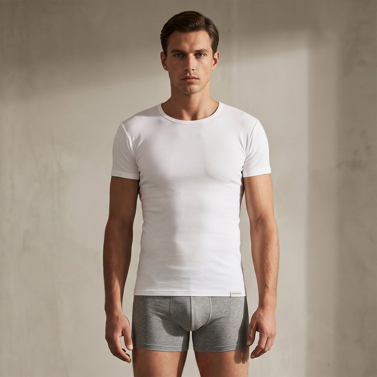 Maglia uomo a girocollo Enrico Coveri ET1130 cotone filo di scozia 3 pz