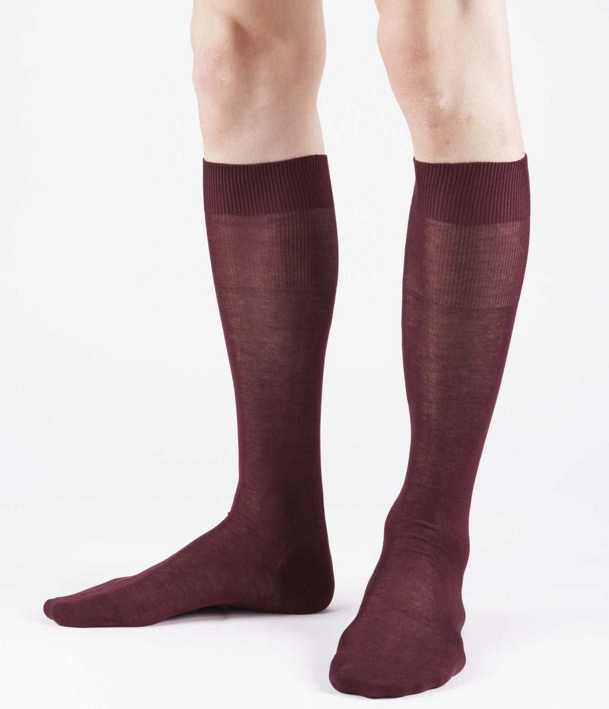 Calze lunghe uomo Ciocca 753 filo di scozia 6 paia