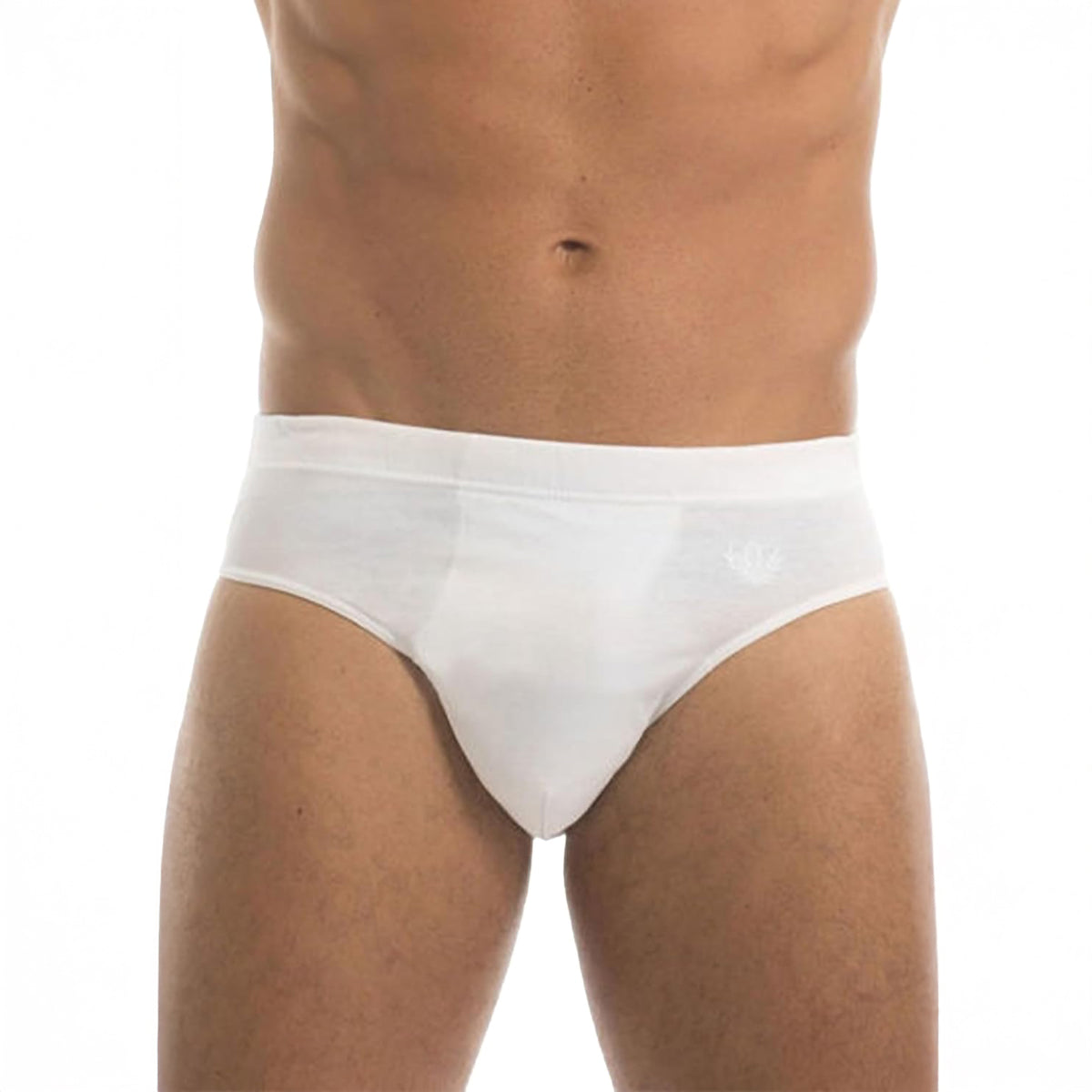 Slip Uomo 100% filo di scozia Garda 0763 Set da 6
