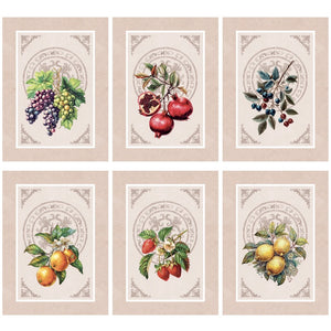 Strofinacci fantasia frutti cotone Vingi Tiffany 6 pz