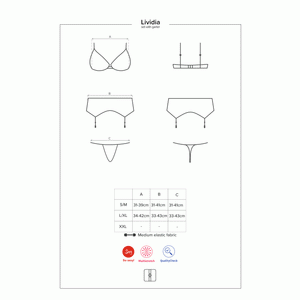 Sexy reggiseno + reggicalze + perizoma Obsessive lividia 
