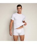 Maglia uomo girocollo Armata di mare gt108 cotone elasticizzato