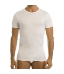 Maglia Intima Uomo Manica Corta 100% filo di scozia 0034 di Garda