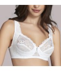 Papillon Magia in pizzo