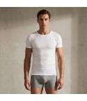 Maglia uomo a girocollo Enrico Coveri ET1130 cotone filo di scozia 3 pz