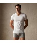 Maglia uomo a punta Enrico Coveri ET1131 cotone filo di scozia 3 pz
