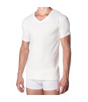 Maglia intima uomo lana e cotone mezza manica a V 