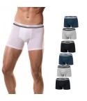Boxer Nottingham BX80.M-19