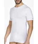 Maglia da uomo girocollo mezza manica Pierre cardin pcu100 cotone bi-elastico