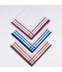 Set di 12 fazzoletti da naso a fantasia rigata 100% cotone 