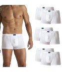 Boxer uomo cotone elasticizzato Alvada 6 pezzi