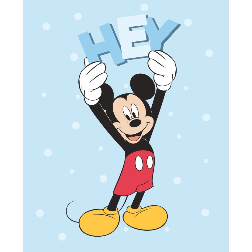 Plaid Soft Touch Disney con Mickey Mouse 